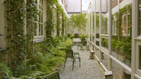 An-Alley-With-A-Garden-Full-Of-Growing-Green-Ferns-In-Amsterdam,-Netherlands