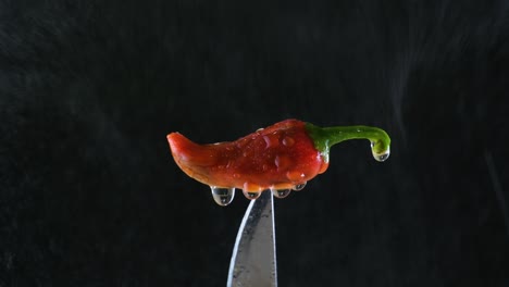 Slow-Motion:-Red-Chili-Pepper-on-Knife-Tip-in-Water-Spray