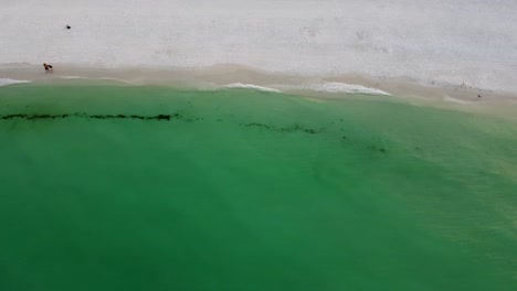 Luftaufnahme-Von-Oben-Drohne,-Schöner-Aktueller-Strand,-Türkisfarbenes,-Sauberes-Wasser