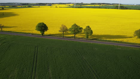 Rapeseed-Fields-And-Farmlands-From-Above---drone-shot