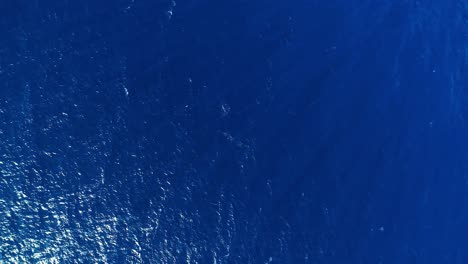 Waves-and-ripples-in-deep-blue-ocean-move-left-to-right,-drone-top-down-static-aerial