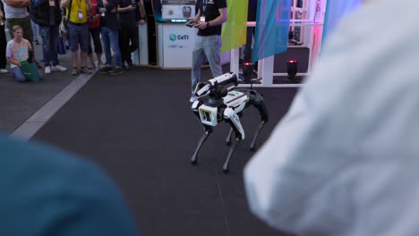 El-Perro-Robot-De-Boston-Dynamics-En-Berlín-Ifa-2023