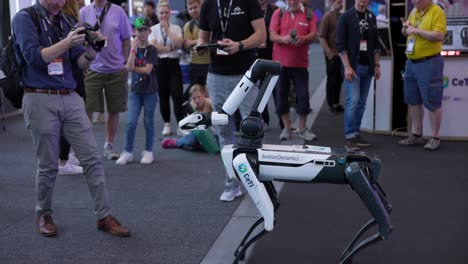 Robot-dog-playing-with-press-man-at-IFA-2023