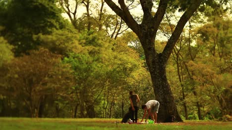 Three-Friends-Pack-Up-Picnic-Supplies-Under-a-Tree-in-a-Scenic-Autumn-Park