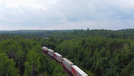 Vertical-tracking-recording-a-large-sequence-of-wagons-in-the-middle-of-the-forest