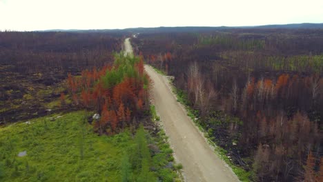 low-level-helicopter-flight-viewing-the-remains-of-forest-after-the-devastating-Canadian-wildfire-season