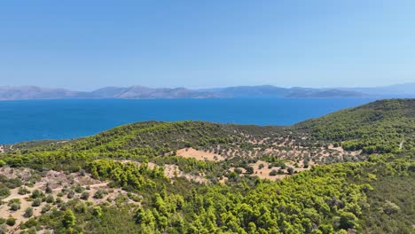 Aerial-footage-of-pine-trees-and-the-sea-in-Attica,-Greece