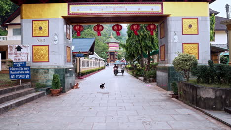 Thai-man-on-moped-taxi-passing-by-dogs-and-monkey-below-asian-gate