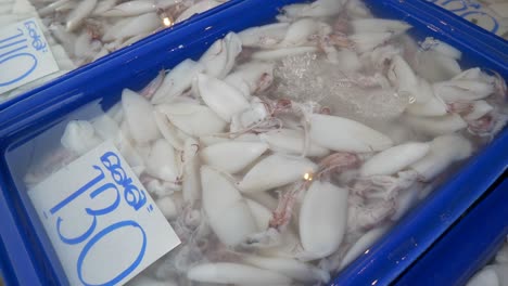 Calamares-Pelados-En-Un-Cubo-De-Agua-A-La-Venta-En-El-Mercado-De-Pescado-De-Tailandia