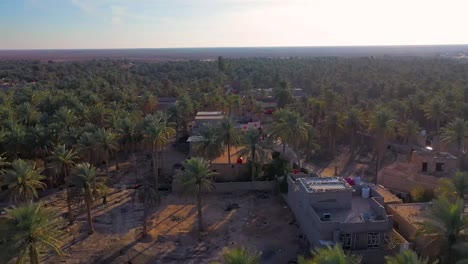 An-aerial-view-of-palm-plantations-in-a-village-in-Iraq-Dates-industry