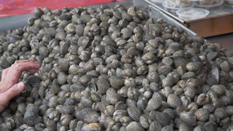 Blood-clams-at-street-fish-market-for-sale