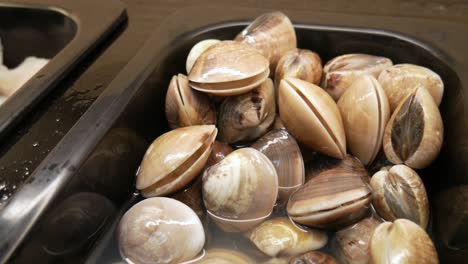 Clams-in-seafood-bar-at-buffet-restaurant-in-Pattaya-Thailand