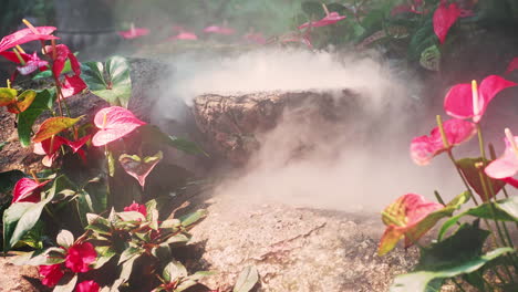 Steaming-stone-bowl-in-asian-garden-rockery-with-blossoming-anthurium