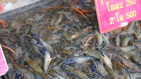 Lebende-Riesige-Flussgarnele-Im-Wassereimer-Zum-Verkauf-Auf-Dem-Thailändischen-Fischmarkt