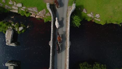 Top-down-shot-of-horses-crossing-a-stone-bridge