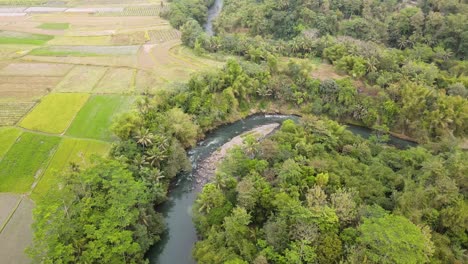 Vogelperspektive-Drohnenansicht-Des-Natürlichen-Gewundenen-Flusses-Im-Tropischen-Land
