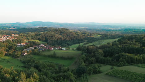 Weinberge-Zwischen-Den-Hügeln-Kleiner-Dörfer-In-Slowenien,-Metlika,-Radovica