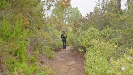 Attractive-woman-in-black-walking-on-pahtway-in-Tenerife-forest,-back-view