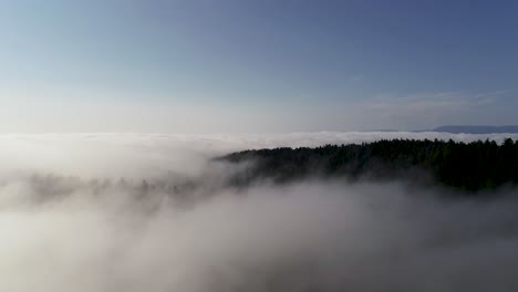 Eine-Drohne-Schoss-über-Tief-Liegenden-Wolken,-über-Den-Bäumen-Des-Redwood-National-Forest-Im-Norden-Kaliforniens,-USA