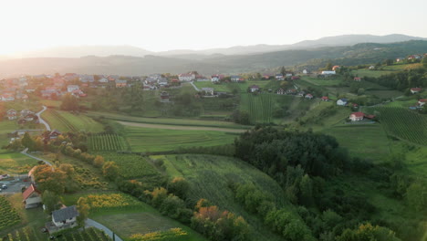 Spin-drone-flying-over-the-vineyards-with-a-sunflair-over-the-small-village-of-Radovica,-Metlika,-Slovenia