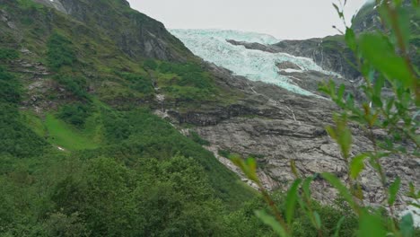 Boyabreen-Jostedal-glacier-seen-far-up-in-the-mountains---Green-leaves-on-bush-in-foreground-as-camera-slowly-moves-up---Norway