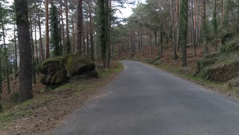 Forststraße-Im-Naturpark