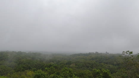 Niedrige-Wolke,-Nebel-Weht-über-Dem-Dschungel-Bei-Den-Maya-Ruinen-Von-Tikal-In-Guatemala