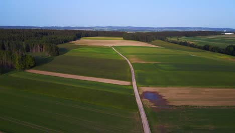 The-way-of-life-symetriech-Breathtaking-aerial-top-view-flight-hunting-booth-austria-Europe-field-meadow-road-sunset-summer-23