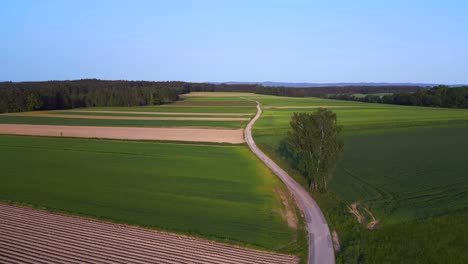 Perfect-aerial-top-view-flight
Tree-austria-Europe-field-meadow-road-sunset-summer-23