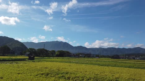 Ricefields-in-tamba-countryside,-vibrant-green-mountains-ready-for-summer-harvest-season,-pan