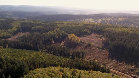 Drohnenflug-über-Den-Thüringer-Wald-In-Deutschland-Mit-Durch-Borkenkäfer-Gerodeten-Flächen