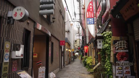 Hozenji-Gasse-In-Dotonbori,-Osaka,-Japan