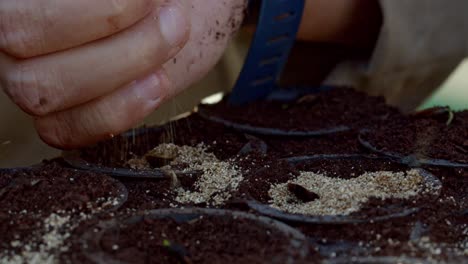 pouring-soil-on-pots,-hand-closeup,-sowing-seed-in-dirt-plant-pots,-farmer-botanist-in-agriculture