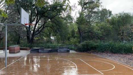 Basketball-ring-and-backboard-on-wet-brown-court-with-Australian-bush-backdrop