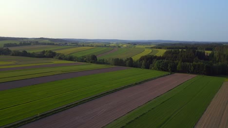 Great-aerial-top-view-flight-field-austria-Europe-meadow-road-sunset-summer-23