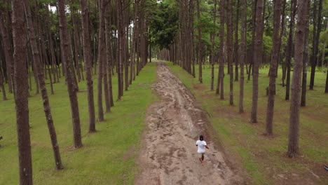 Young-man-running-through-the-middle-of-rows-of-Pine-trees