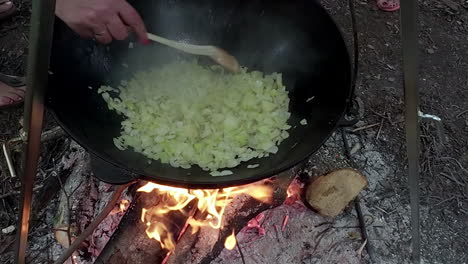 The-outdoor-cooking-game,-veggies-and-wood-fire