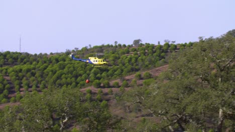 A-UH-1N-Huey-firefighting-helicopter-carrying-a-full-helibucket-during-wildfires