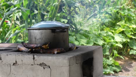 close-up-of-Pot-on-stove-in-rural-area-with-firewood-and-fire,-food-preparation