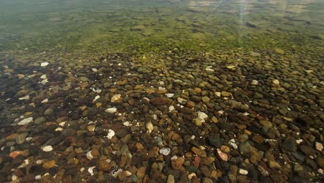 Calm-surface-of-the-lake-with-beautiful-colorful-pebbles-on-the-floor-under-clear-transparent-water-and-small-fish-swimming