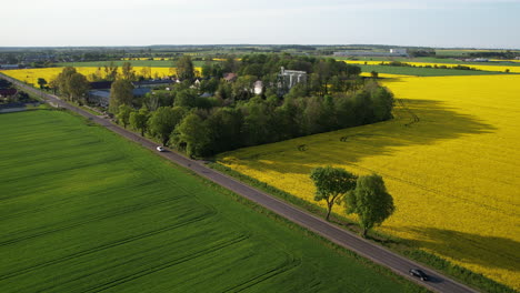 Flyover-over-a-busy-local-road-with-moving-cars,-green-and-yellow-maturing-fields-of-rapeseed-and-grains
