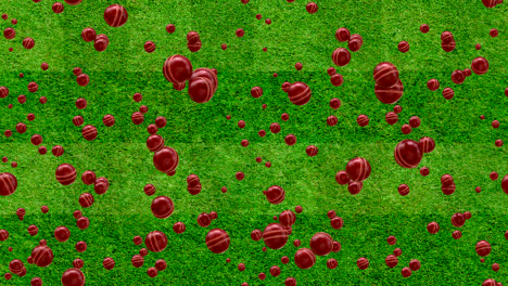 Cricket-Ball-Bounce-Background-LOOP-TILE