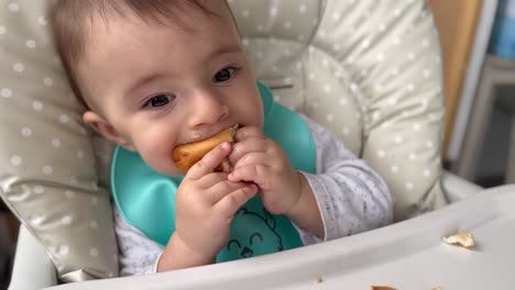 Hungry-baby-eating-bread-at-lunch-time-enthusiastically,-baby-led-weaning