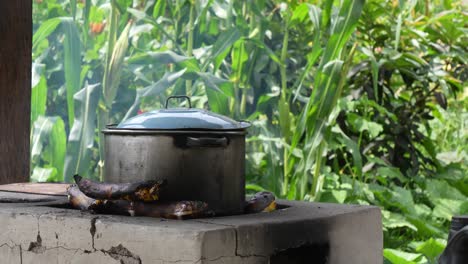 Pot-on-stove-in-rural-area-with-firewood-and-fire,-food-preparation