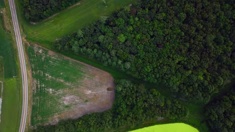 Eine-Luftaufnahme-Von-Oben-Nach-Unten-über-Grüne-Felder,-Bäume-Und-Einen-Teich-An-Einem-Bewölkten-Tag-In-Delaware