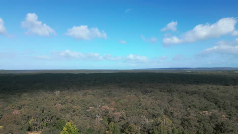 Luftseilbahn-über-Dem-Great-Otway-Nationalpark,-Australien