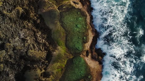 Aerial-pullout-of-natural-rock-pools-at-Cap-des-pins-in-Lifou-island,-New-Caledonia