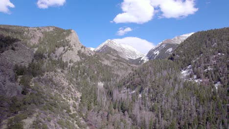 Trees-and-mountains-of-Colorado