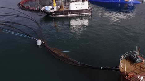 Tilting-drone-shot-of-fish-farming-ships-docked-at-an-ocean-fish-cage