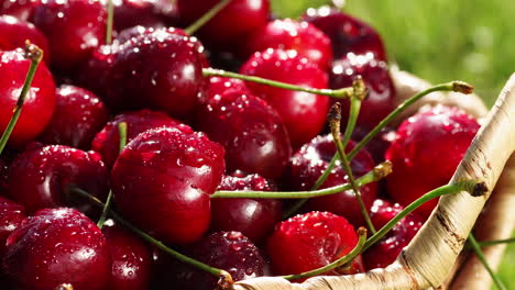 sweet-fresh-cherries-with-dew-drops,-4k